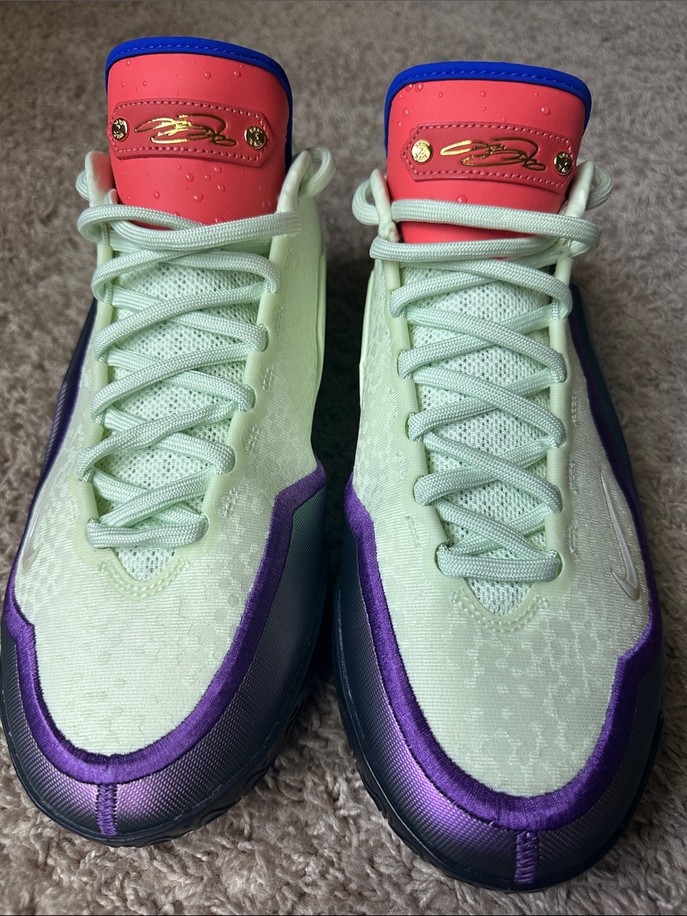 LeBron XXIII "Green With Envy" Men’s Size 12